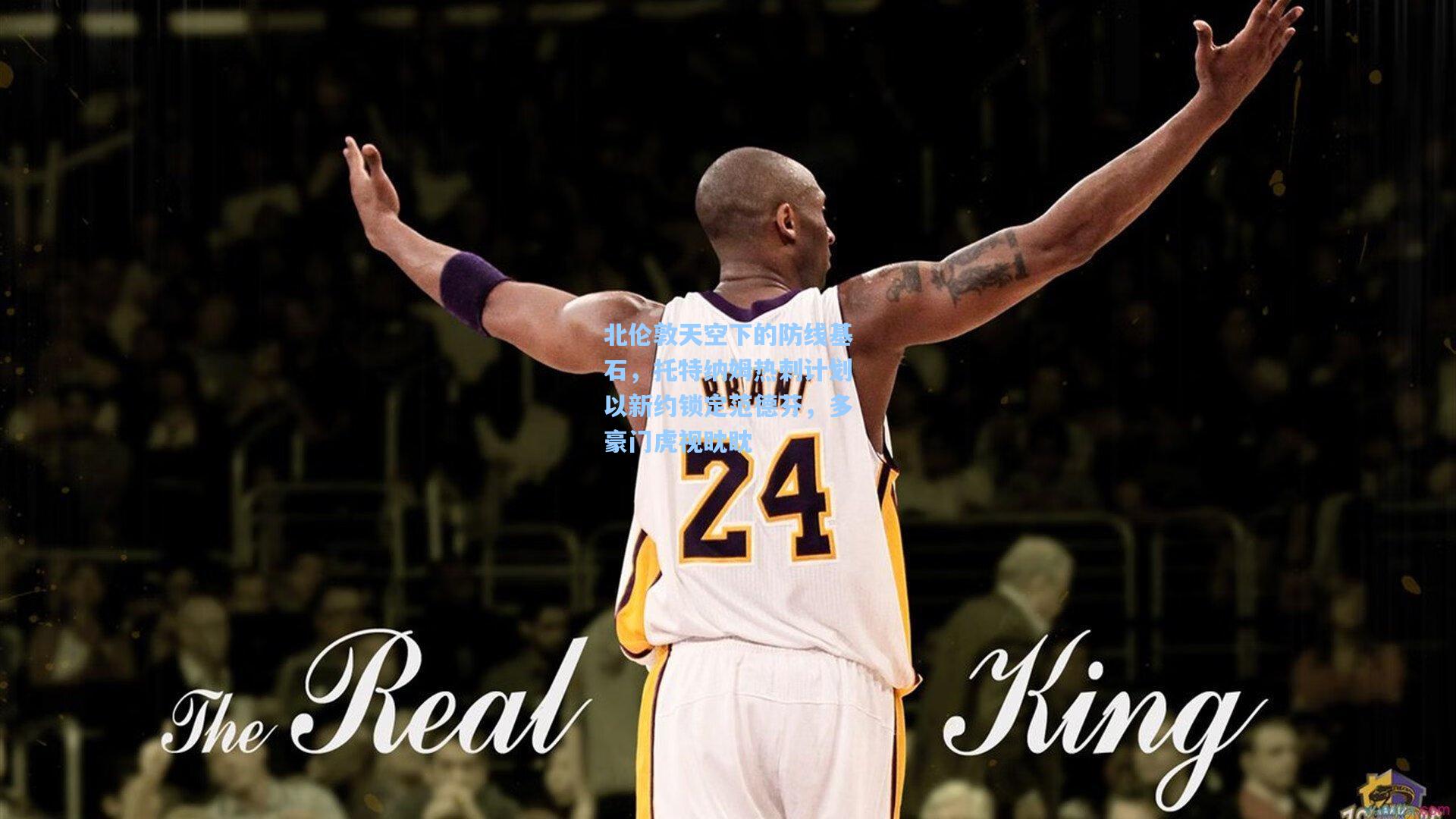 开云首页入口|北伦敦天空下的防线基石，托特纳姆热刺计划以新约锁定范德芬，多豪门虎视眈眈